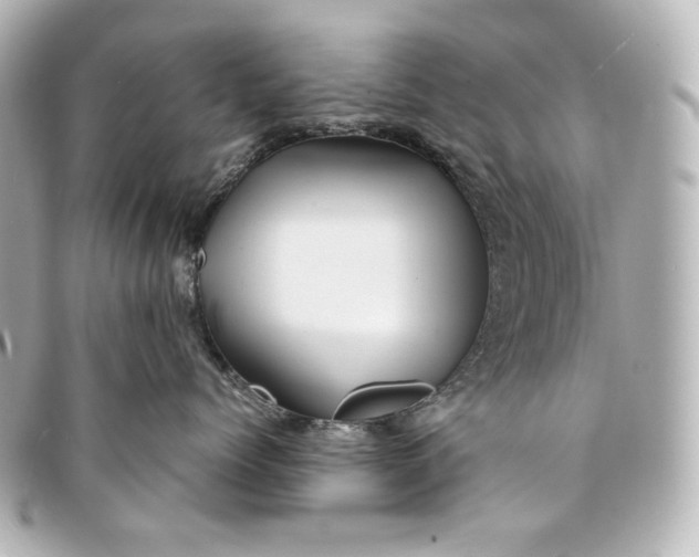 X0000094950768200712201138