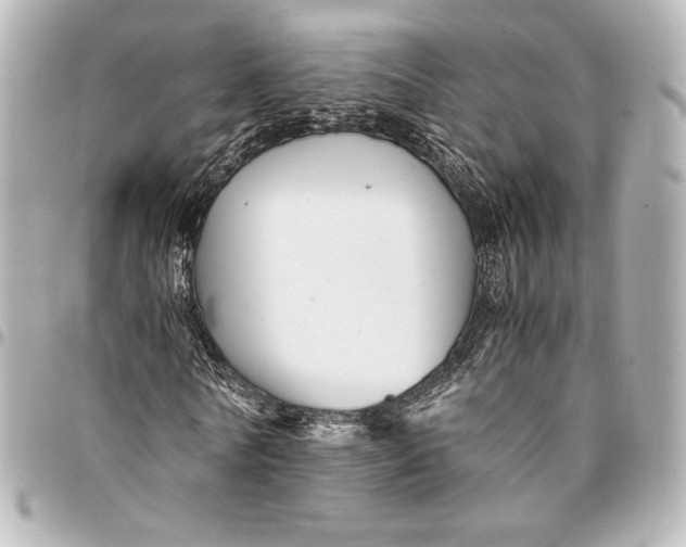 X0000094950770200712201137