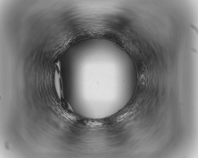 X0000094950772200712201137