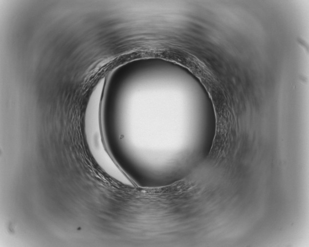 X0000094950773200712201137