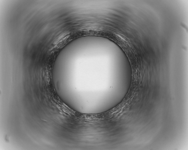 X0000094950774200712201137