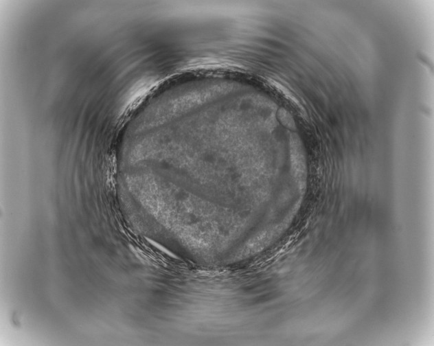 X0000094950775200712201137