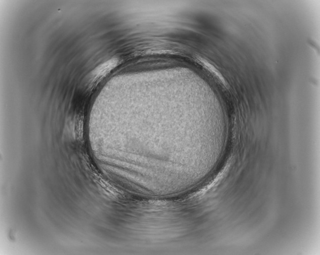 X0000094950777200712201137