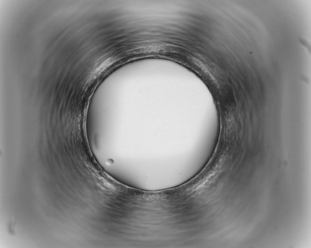 X0000094950778200712201137