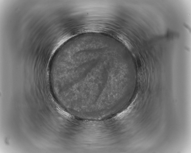 X0000094950779200712201137