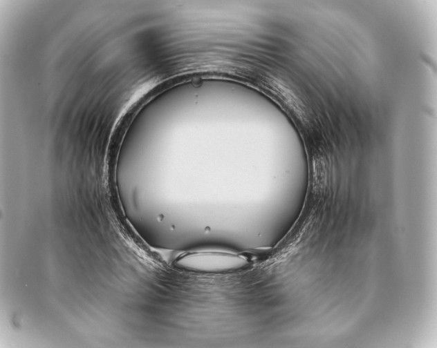 X0000094950780200712201137