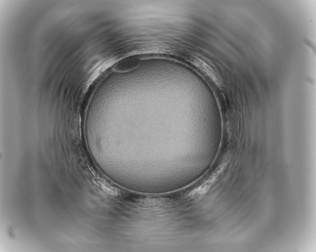 X0000094950781200712201137