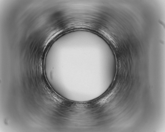 X0000094950782200712201137