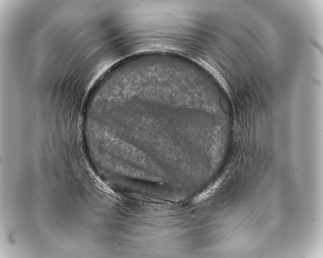 X0000094950783200712201137