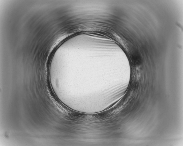 X0000094950787200712201137