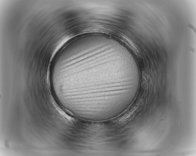 X0000094950788200712201137