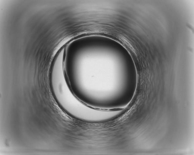 X0000094950789200712201136