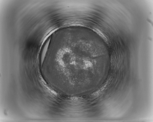 X0000094950790200712201136