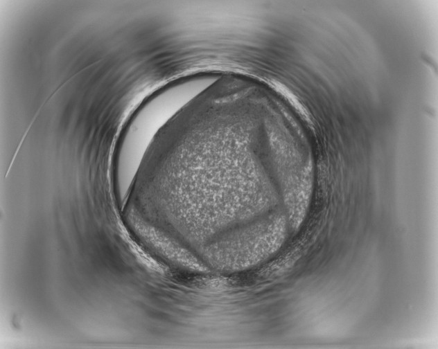 X0000094950791200712201136