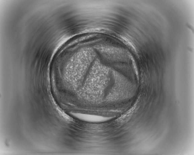 X0000094950792200712201136