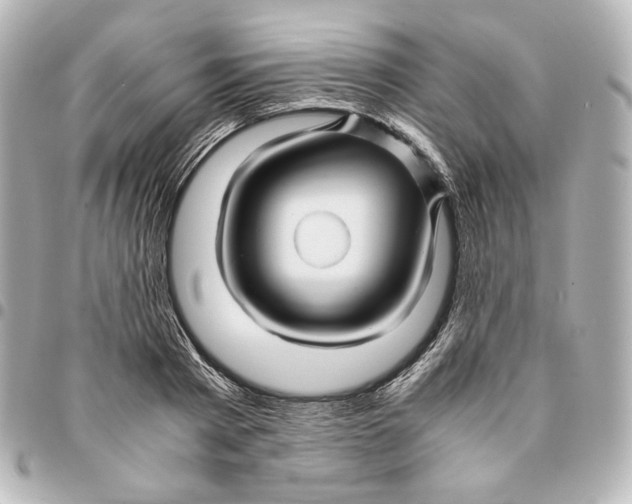 X0000094950793200712201136