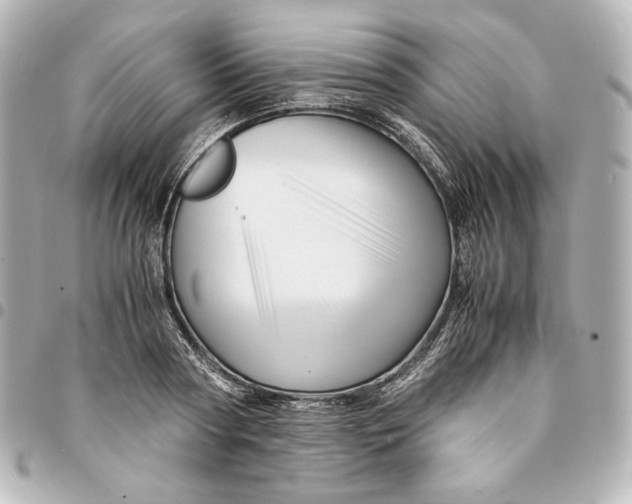 X0000094950794200712201136