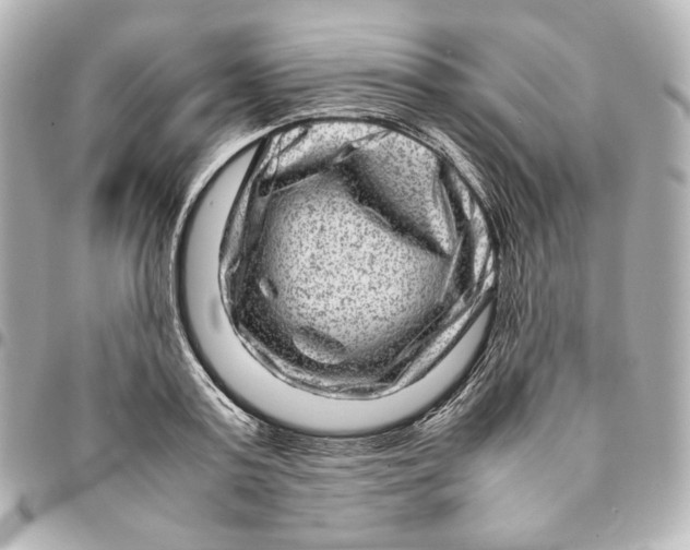 X0000094950795200712201136