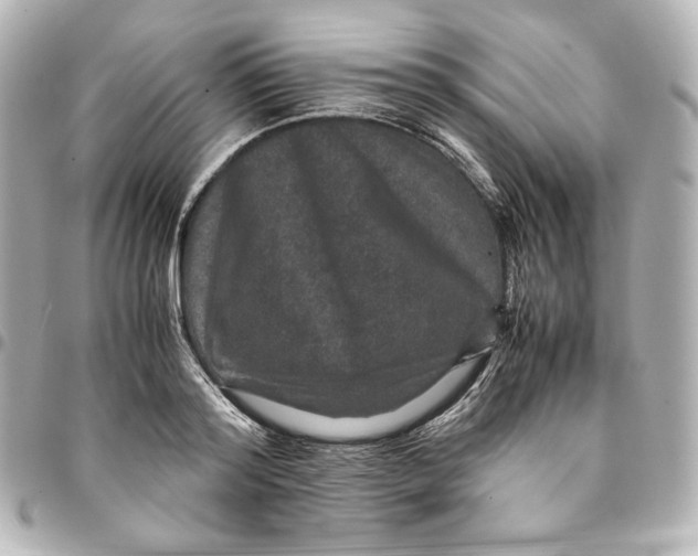 X0000094950796200712201136