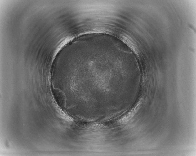 X0000094950797200712201136