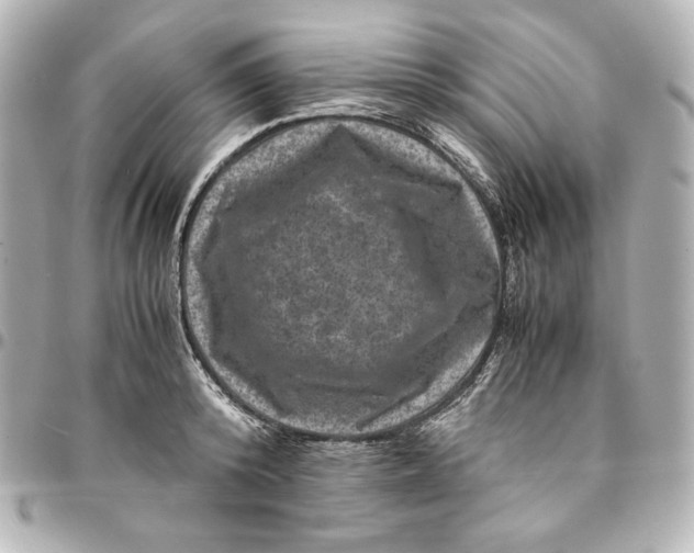 X0000094950800200712201136