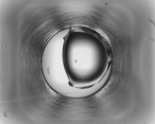 X0000094950801200712201136