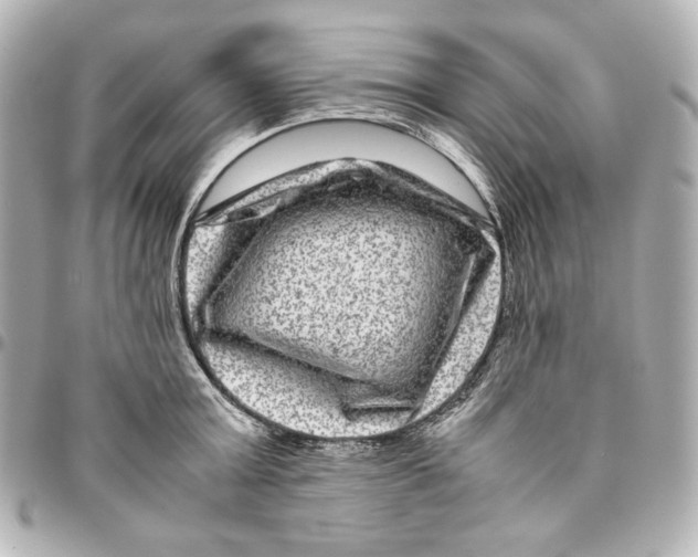 X0000094950803200712201136