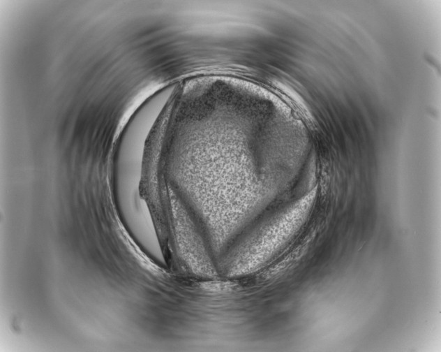 X0000094950804200712201136