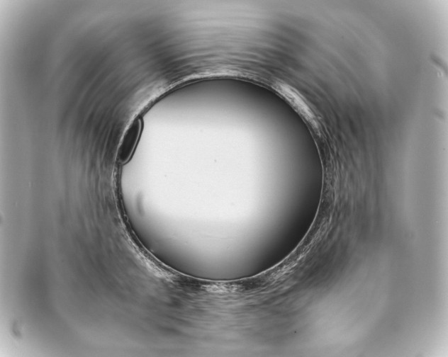 X0000094950805200712201136