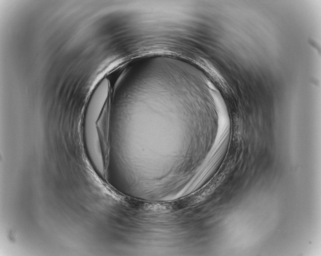 X0000094950806200712201136