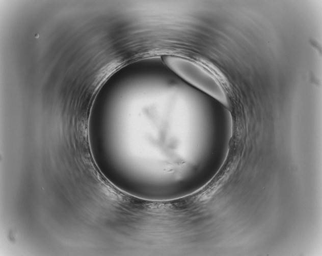 X0000094950809200712201136