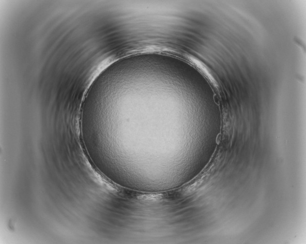 X0000094950810200712201136