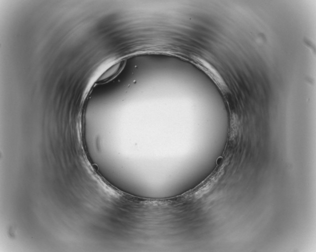 X0000094950812200712201136