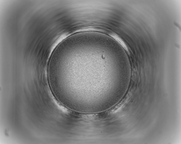 X0000094950813200712201136