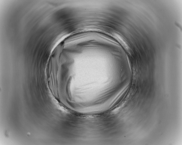 X0000094950814200712201136