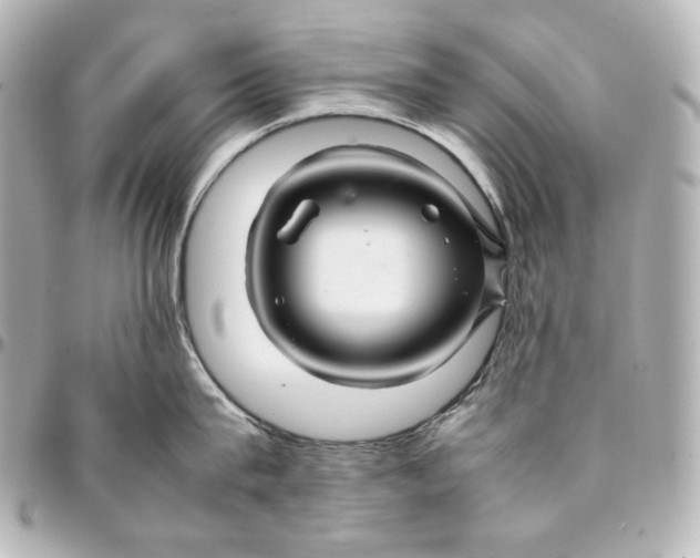 X0000094950815200712201136