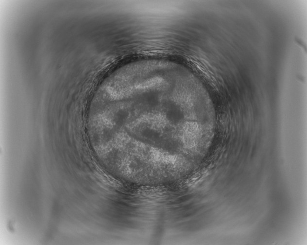 X0000094950817200712201135