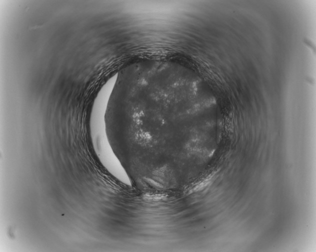 X0000094950818200712201135