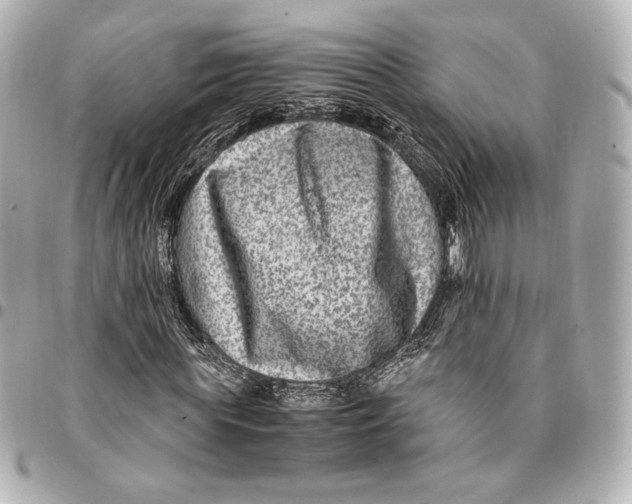 X0000094950819200712201135