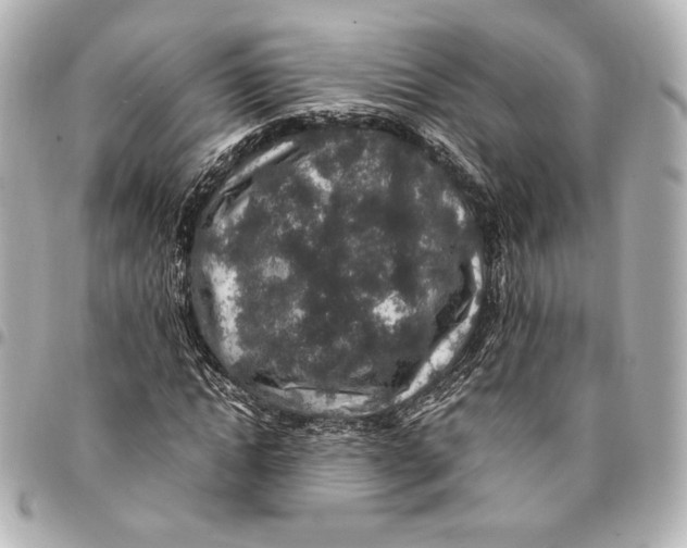 X0000094950822200712201135