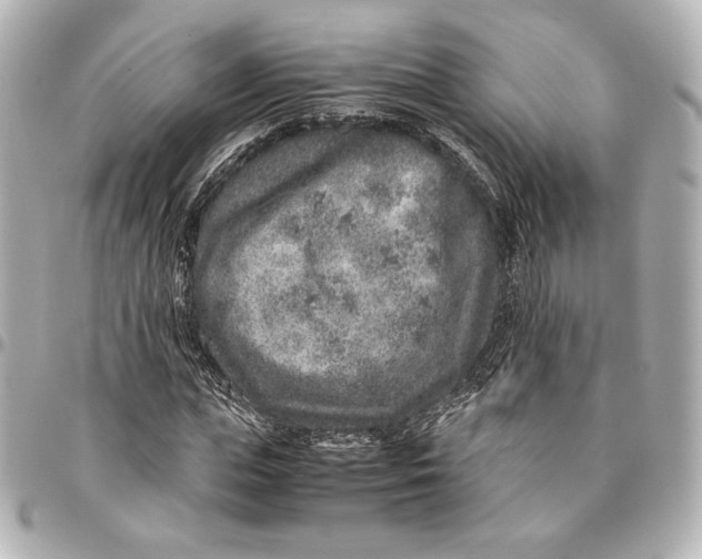 X0000094950823200712201135