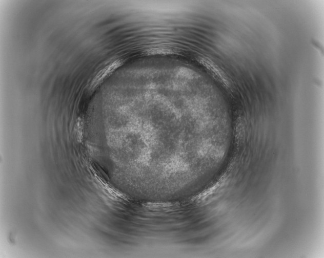 X0000094950825200712201135