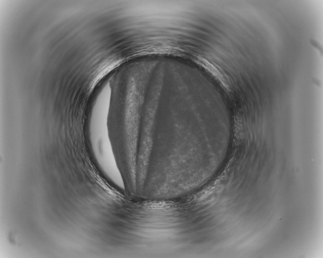 X0000094950826200712201135