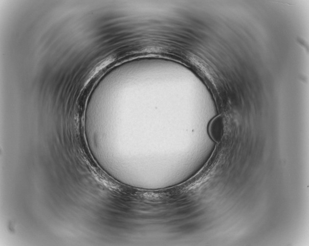 X0000094950827200712201135