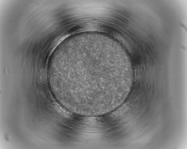 X0000094950828200712201135