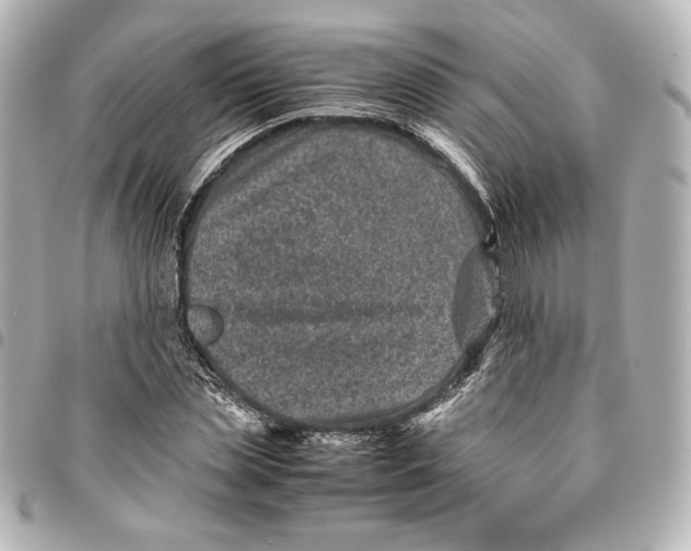 X0000094950829200712201135