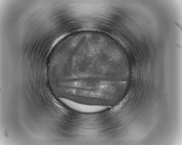 X0000094950830200712201135