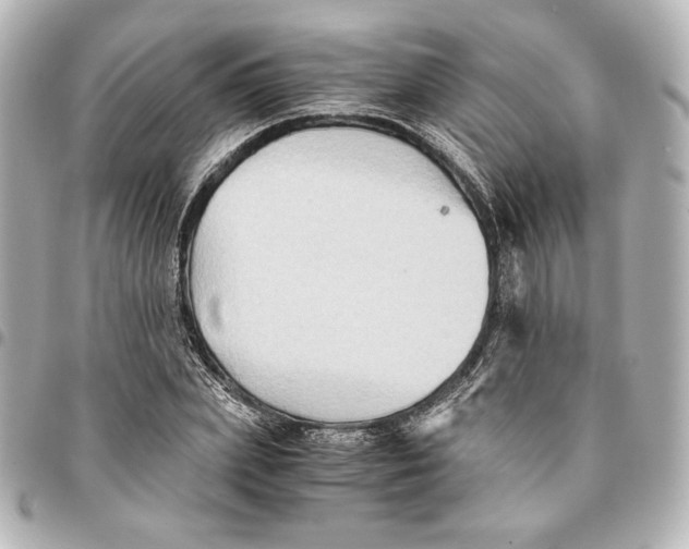 X0000094950831200712201135