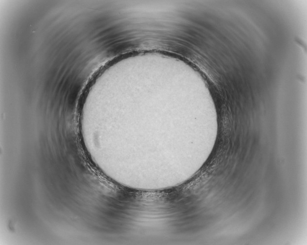 X0000094950832200712201135