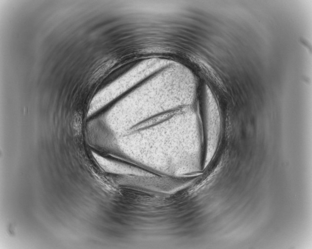 X0000094950833200712201135